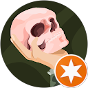 Don Kichot profile picture